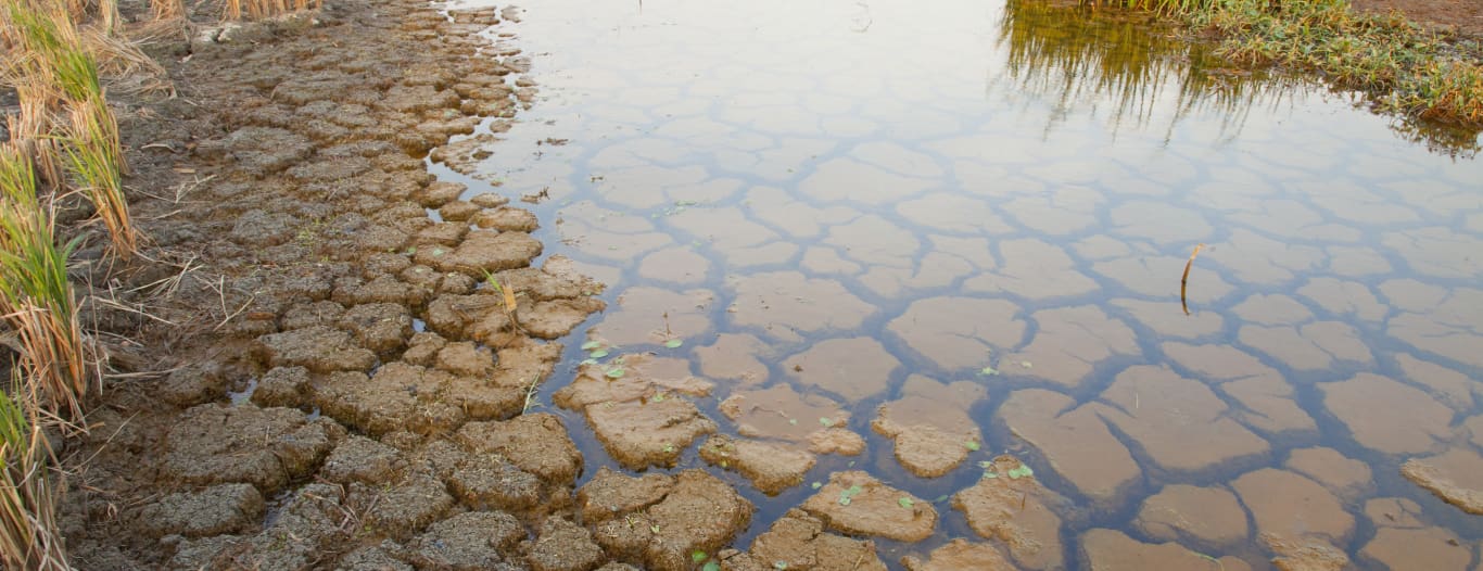 Groundwater washing