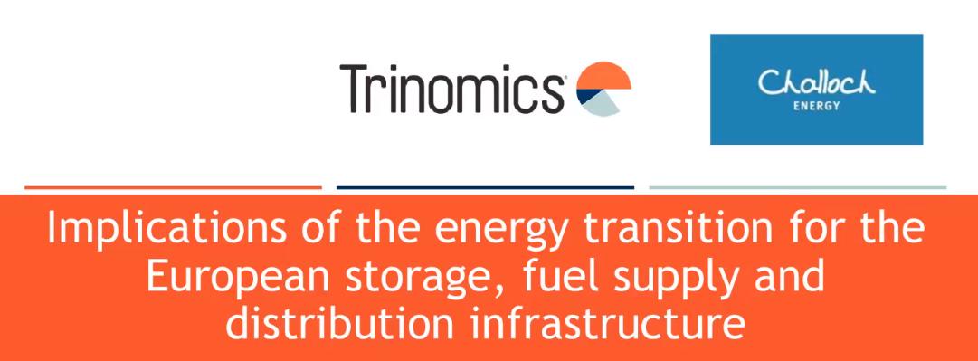 Arkoil at a webinar “Implications of the Energy Transition for European Storage, Fuel Supply & Distribution Infrastructure”